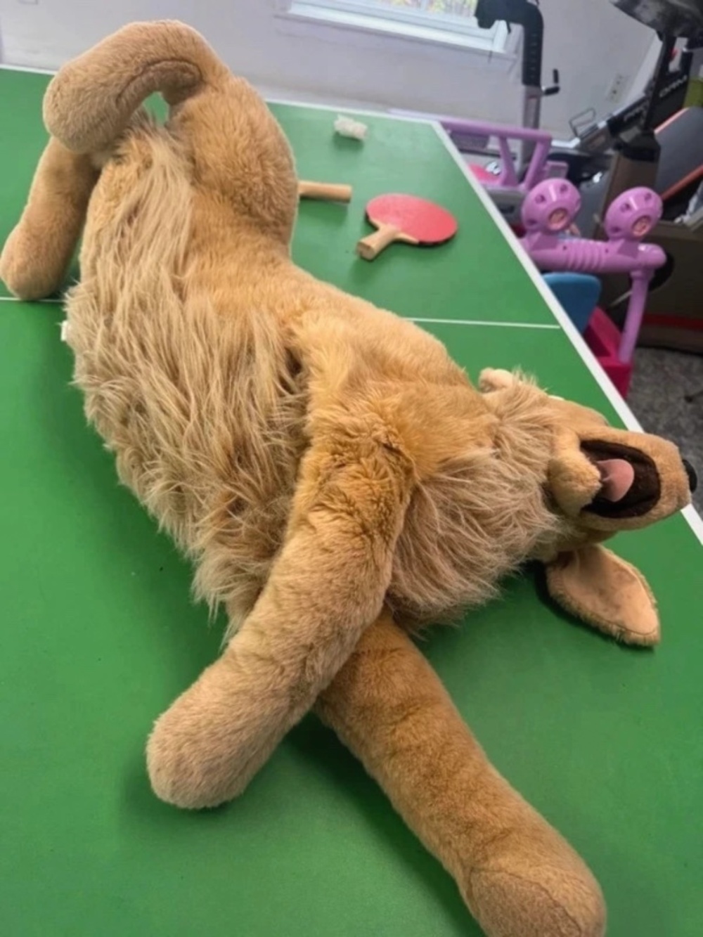 Rare vintage Douglas golden retriever jumbo size